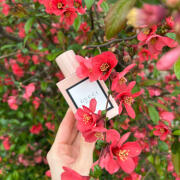 Gucci Bloom Eau de Parfum for Women – Lush Floral Signature Scent | Fast Delivery